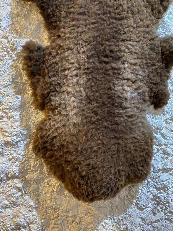 Sheepskin Rug - Image 4